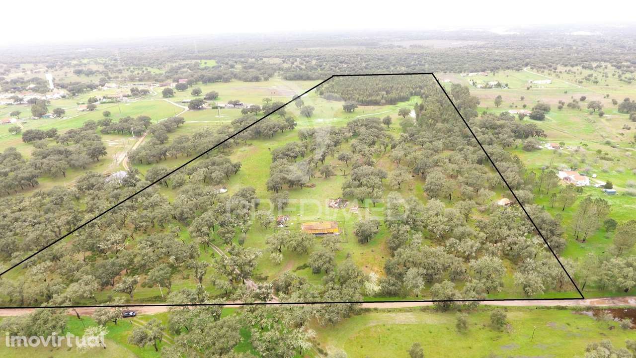 Monte Alentejano com 12 hectares junto á Barragem de Fonte de Cerne - Grande imagem: 3/20
