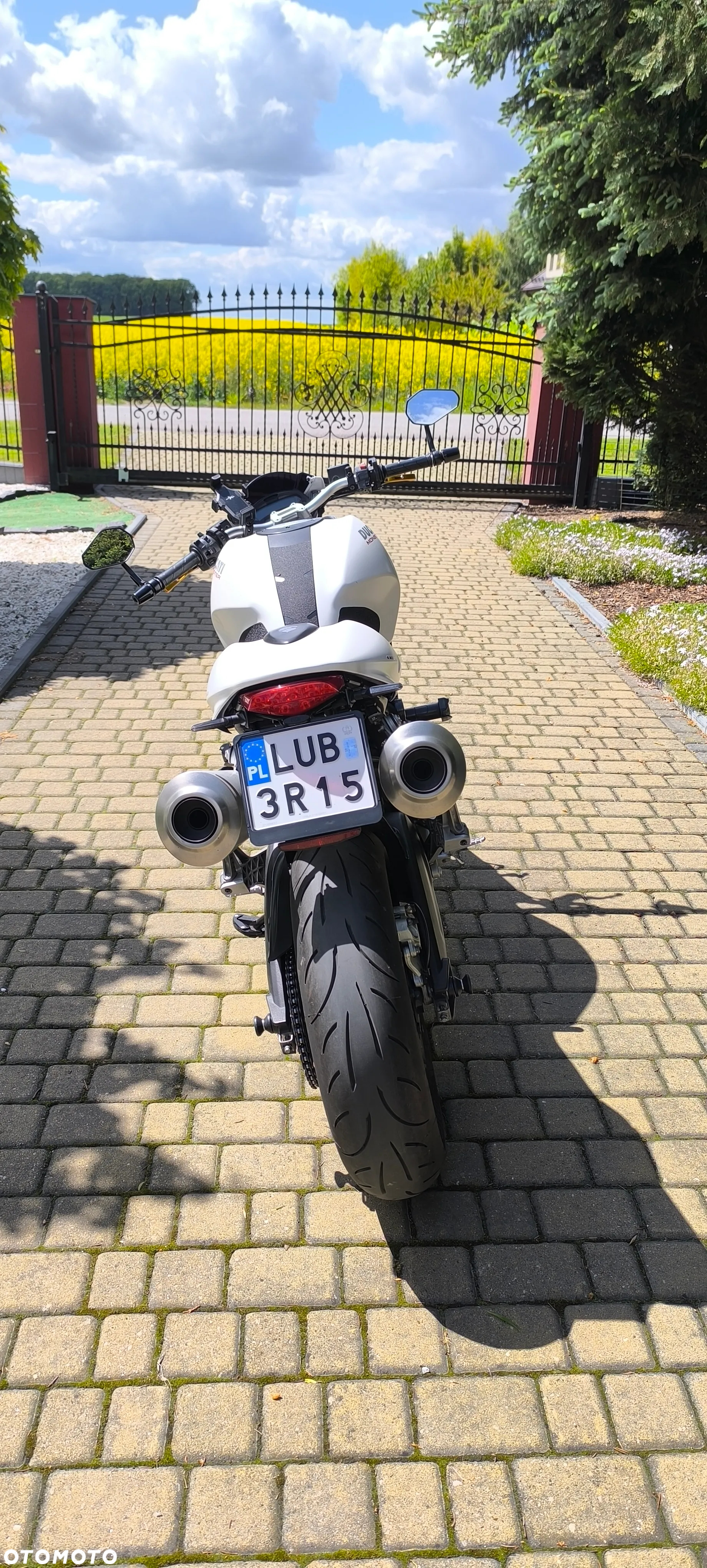 Ducati Monster - 6