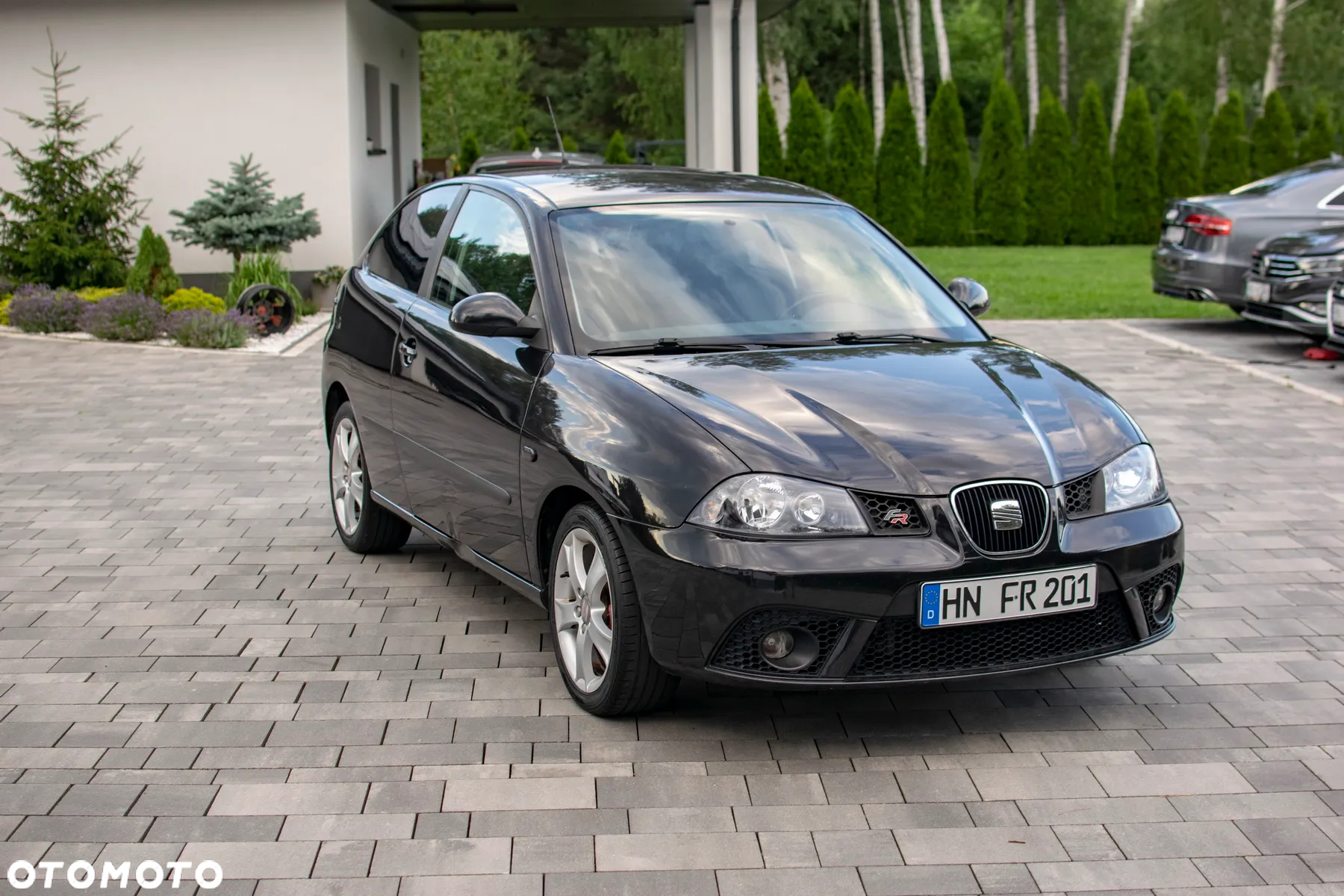Seat Ibiza - 31