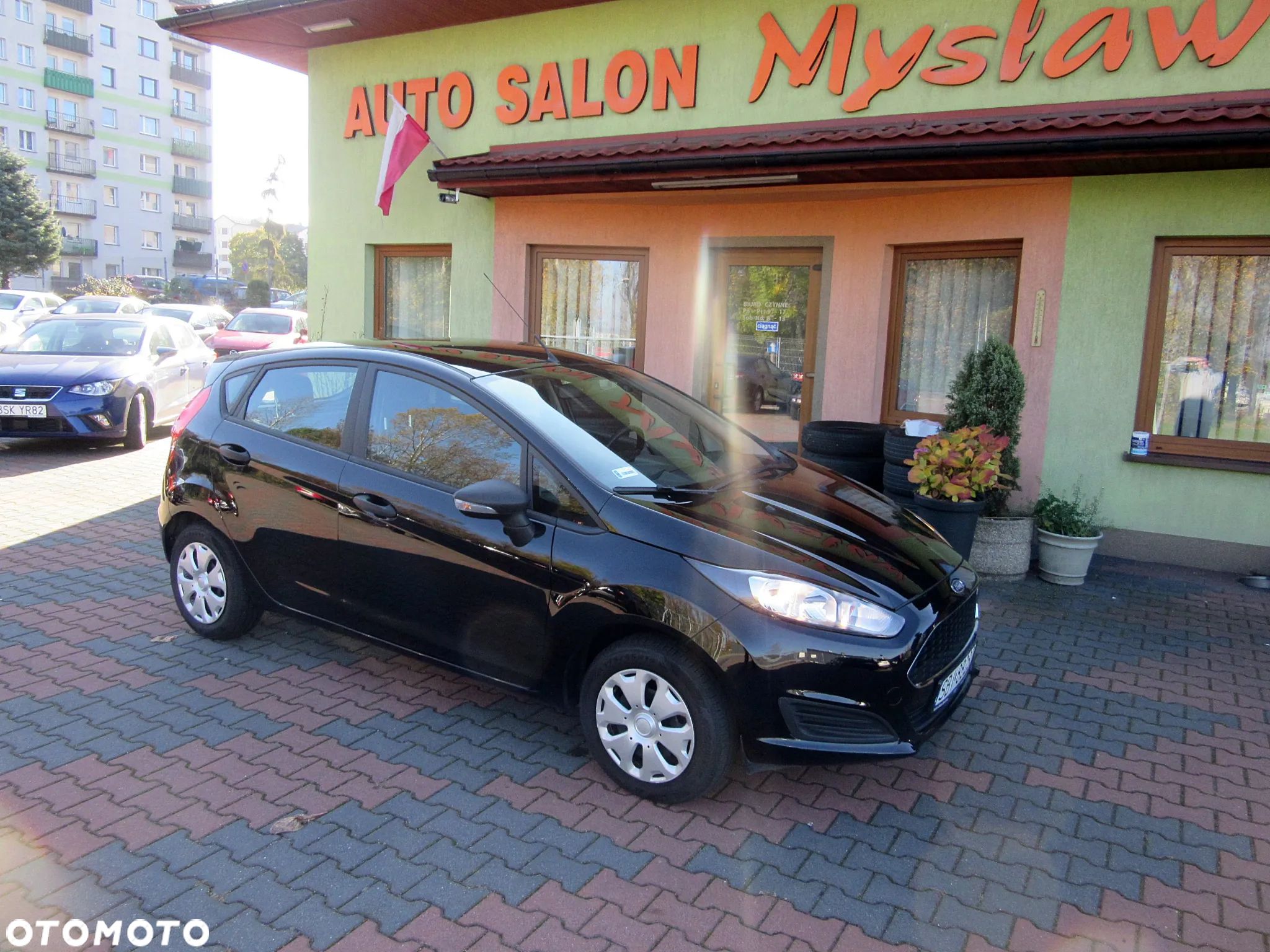 Ford Fiesta - 1