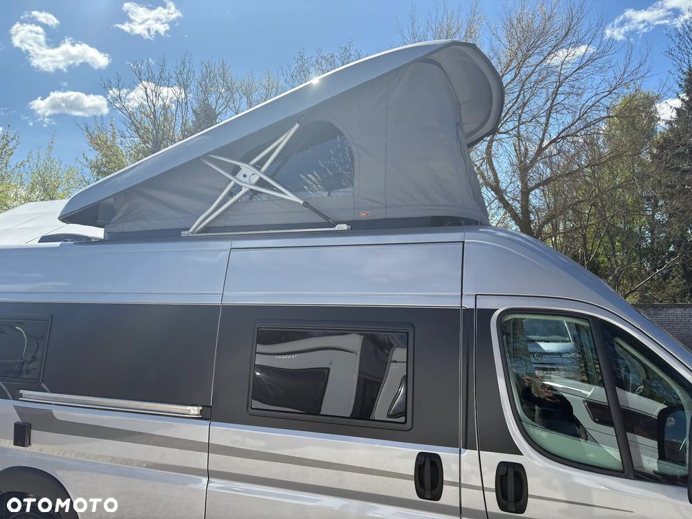 Toyota Proace Max Tanuki - 4