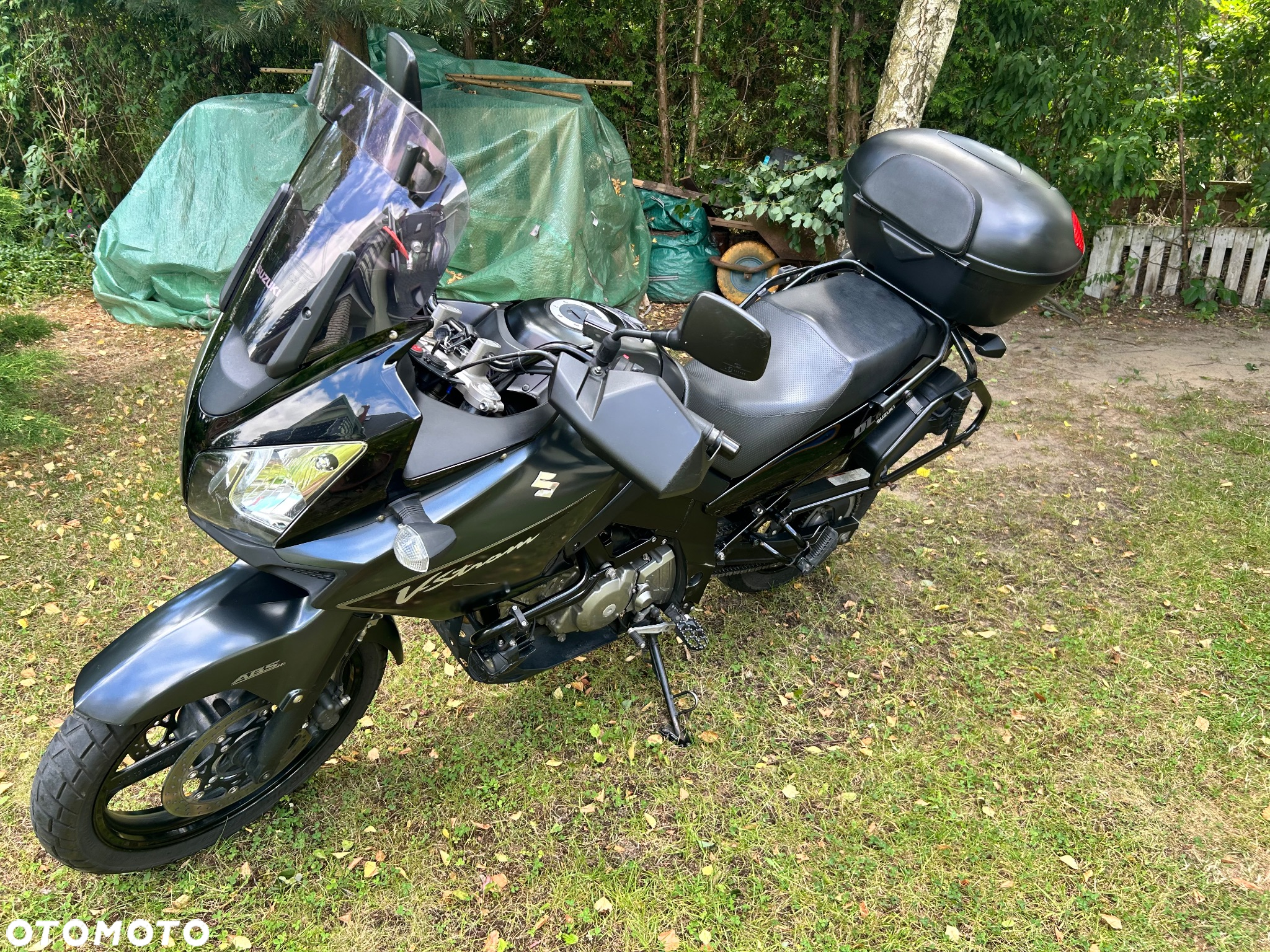 Suzuki DL - 11