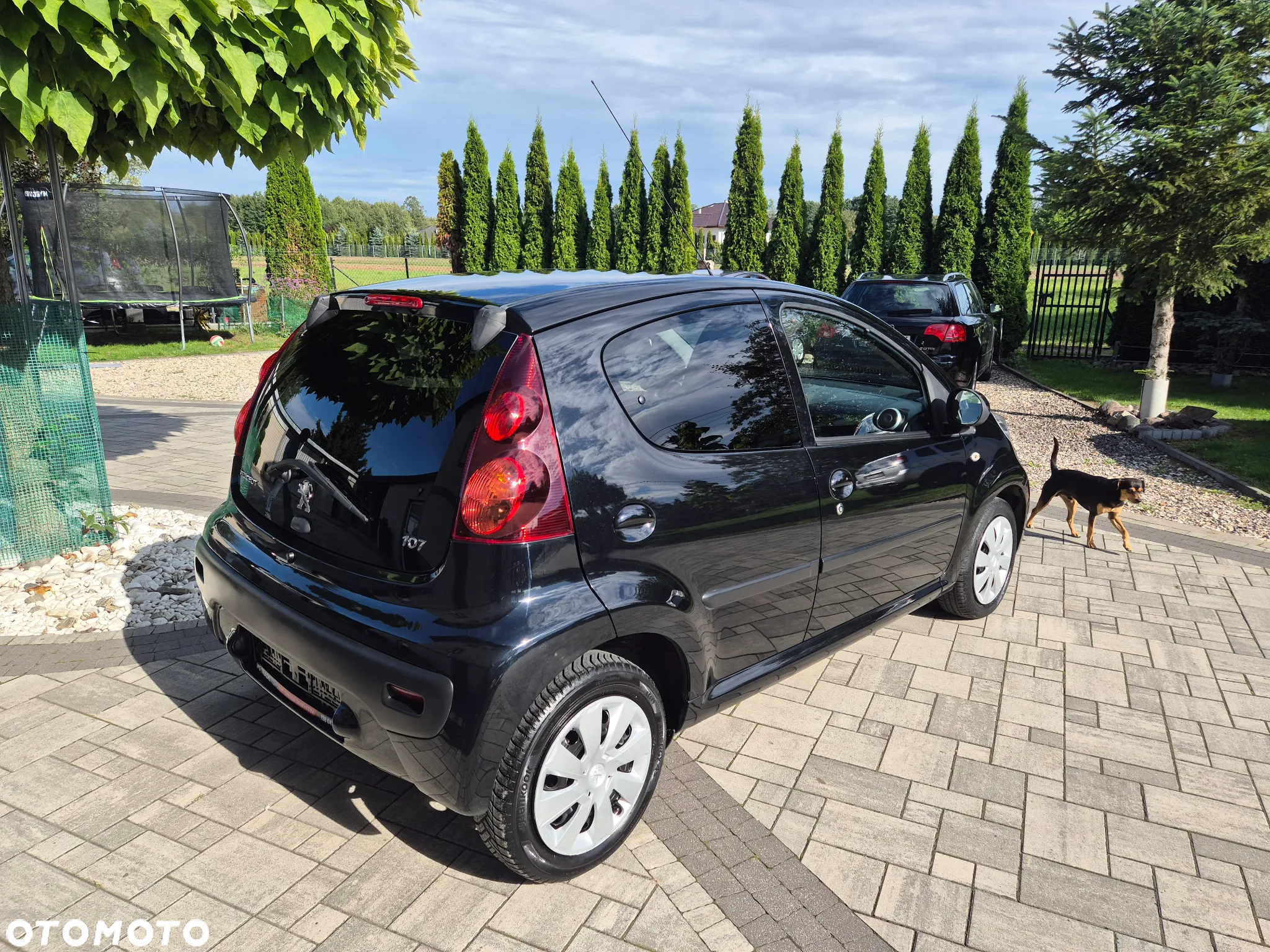 Peugeot 107 - 13