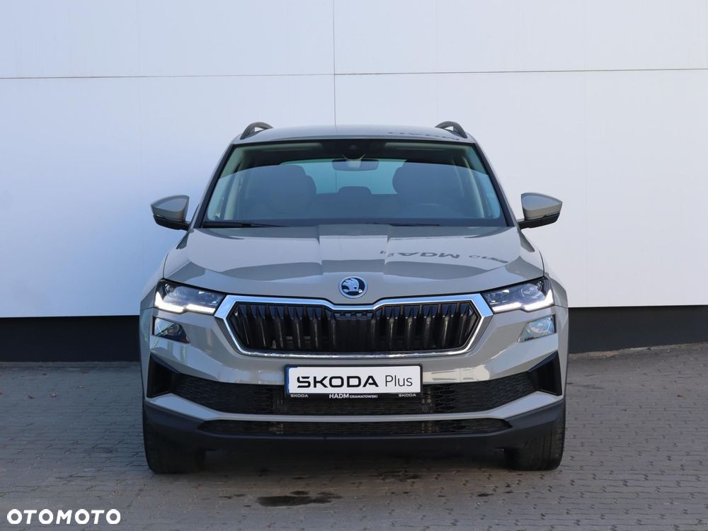 Skoda Karoq - 20