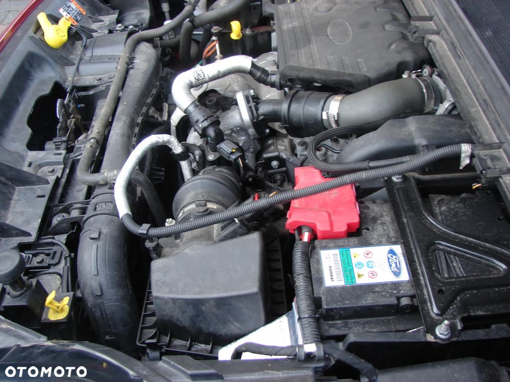 Ford Puma - 13