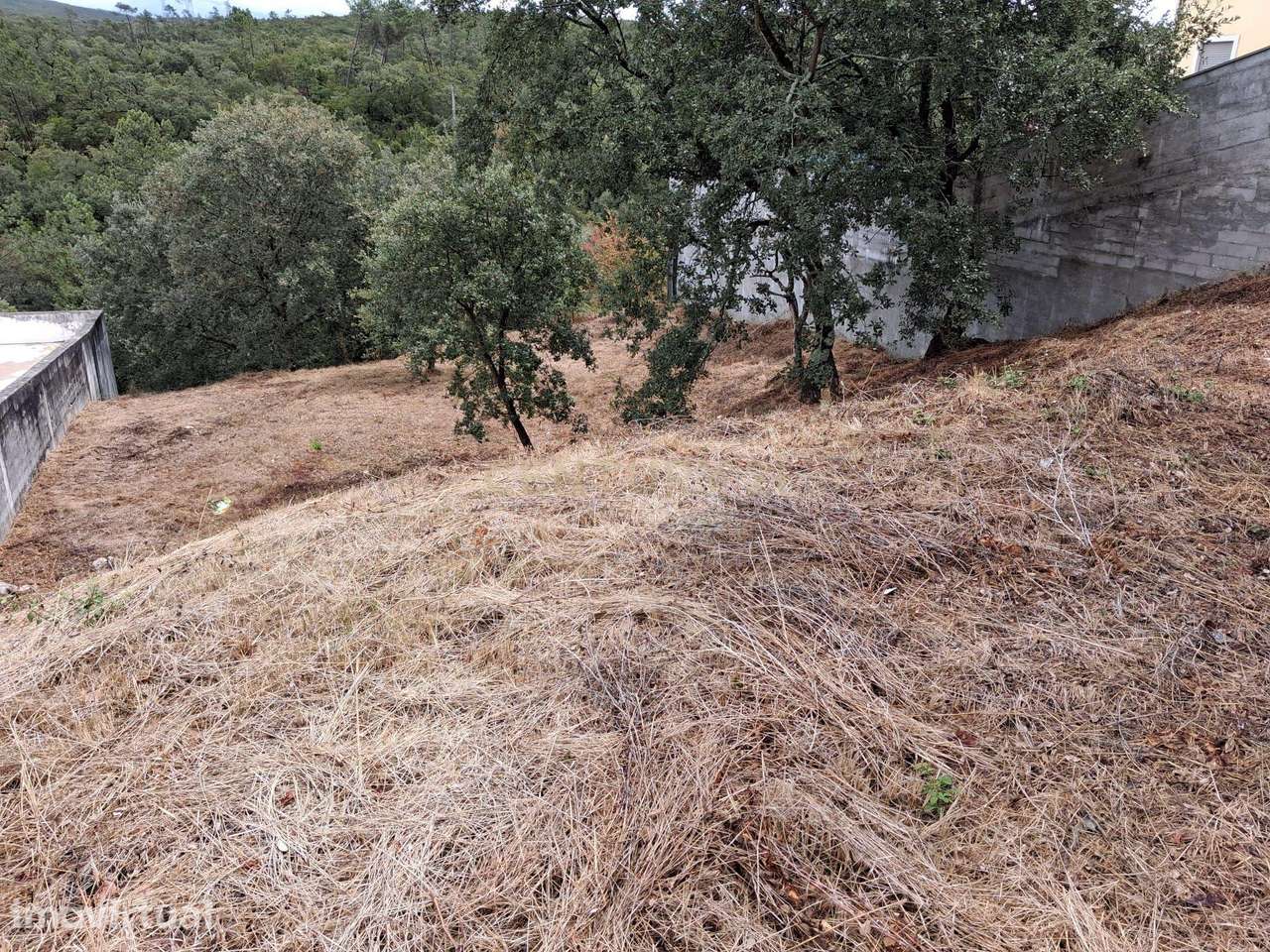 Lote em Zona Nobre de Pombal - Grande imagem: 5/11