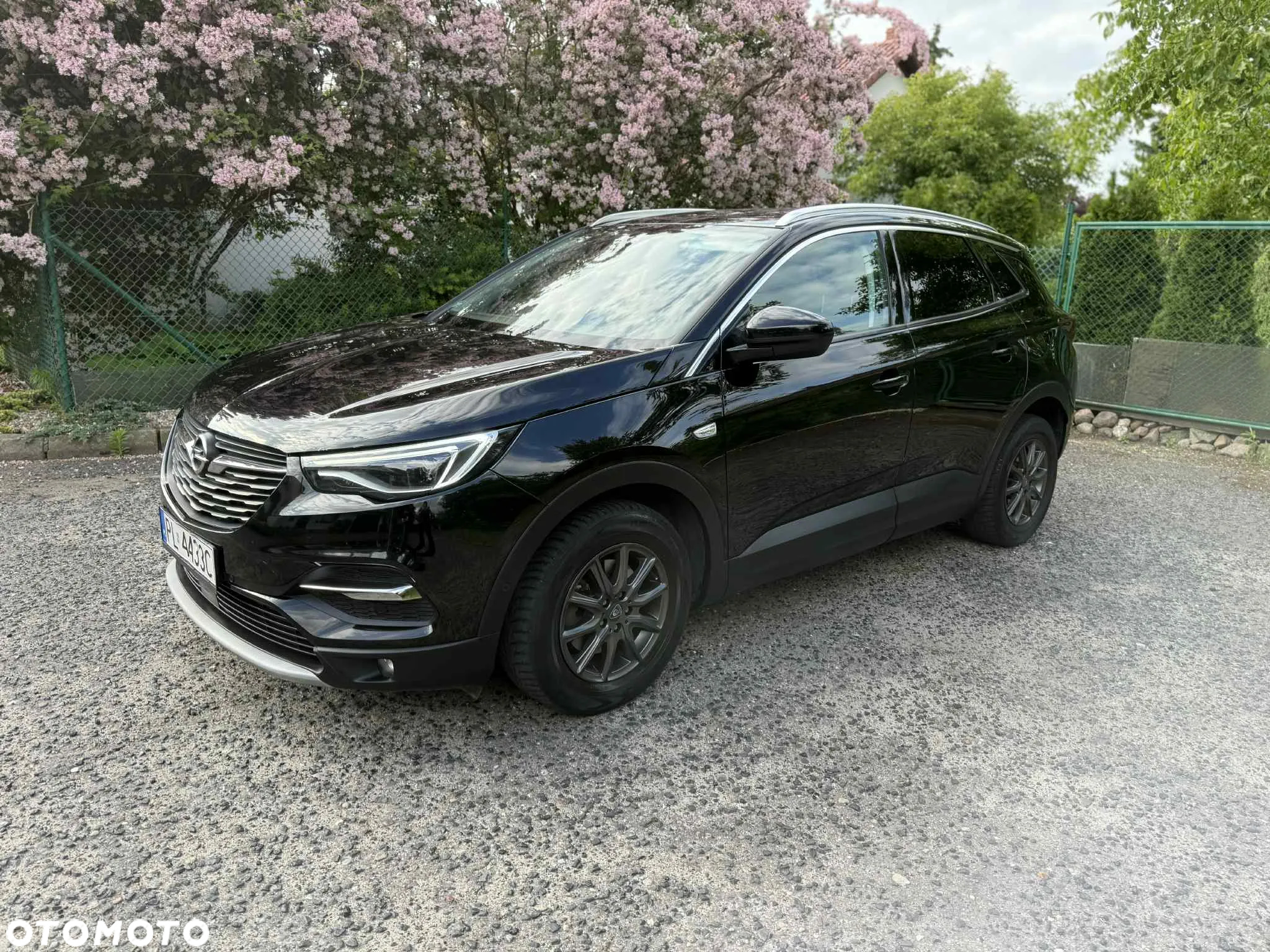 Opel Grandland X 2.0 CDTI Ultimate S&S - 12