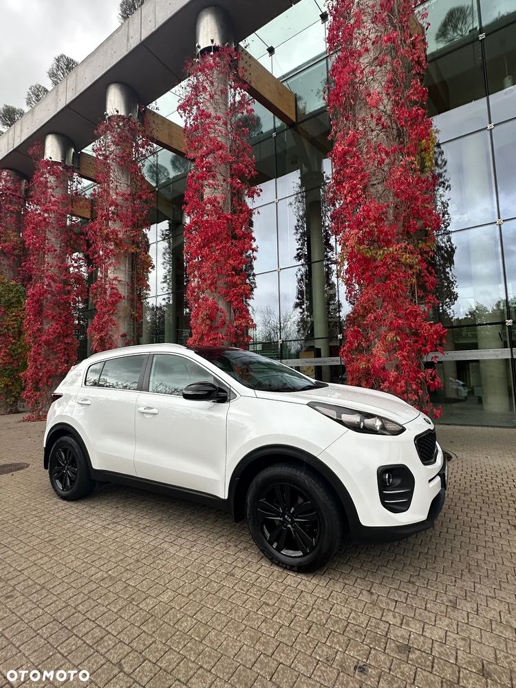 Kia Sportage 1.6 GDI Business Line 2WD - 21