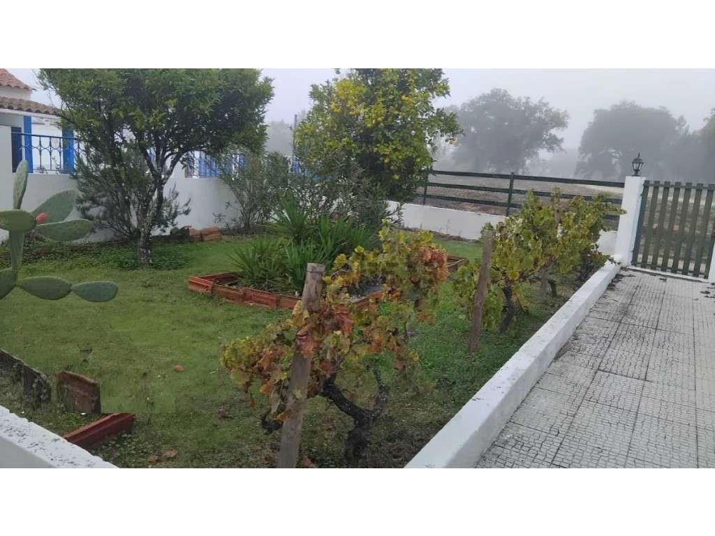 Quintinha T2 inserida em terreno com 6500 m2 - Grande imagem: 2/40