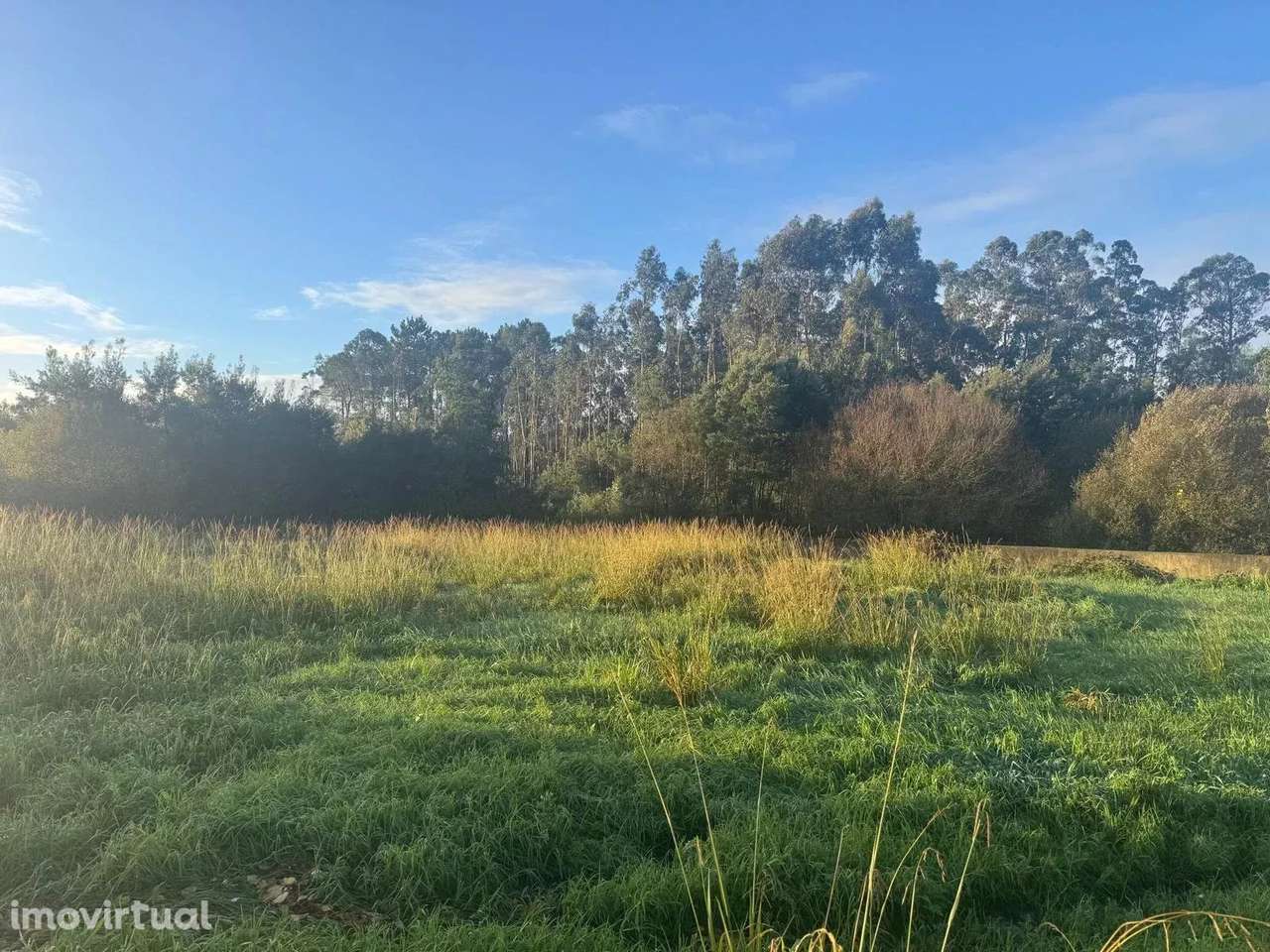 Terreno para construção - Grande imagem: 4/9