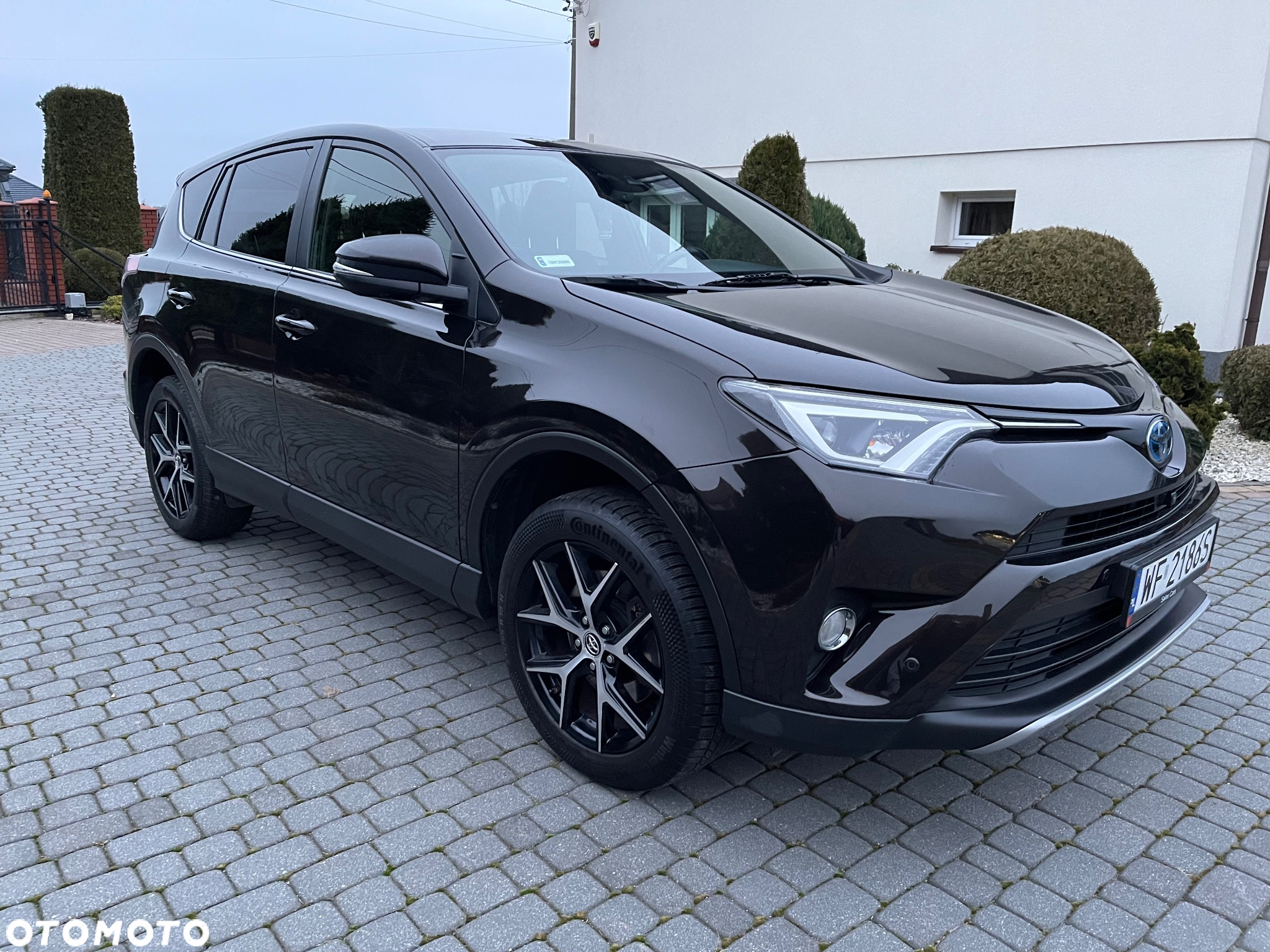 Toyota RAV4 Hybrid Prestige 4x4 - 7