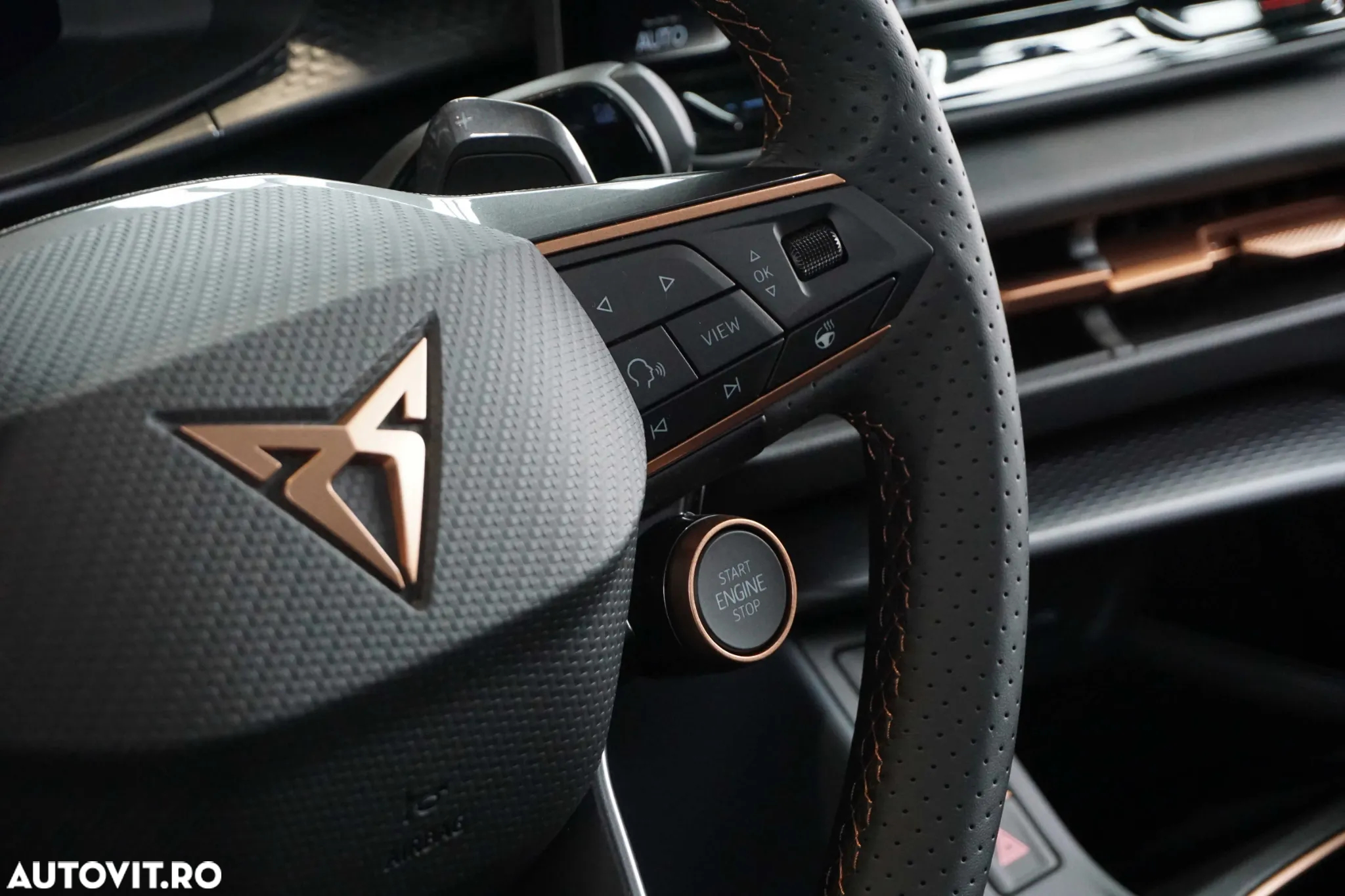 Cupra Terramar - 15