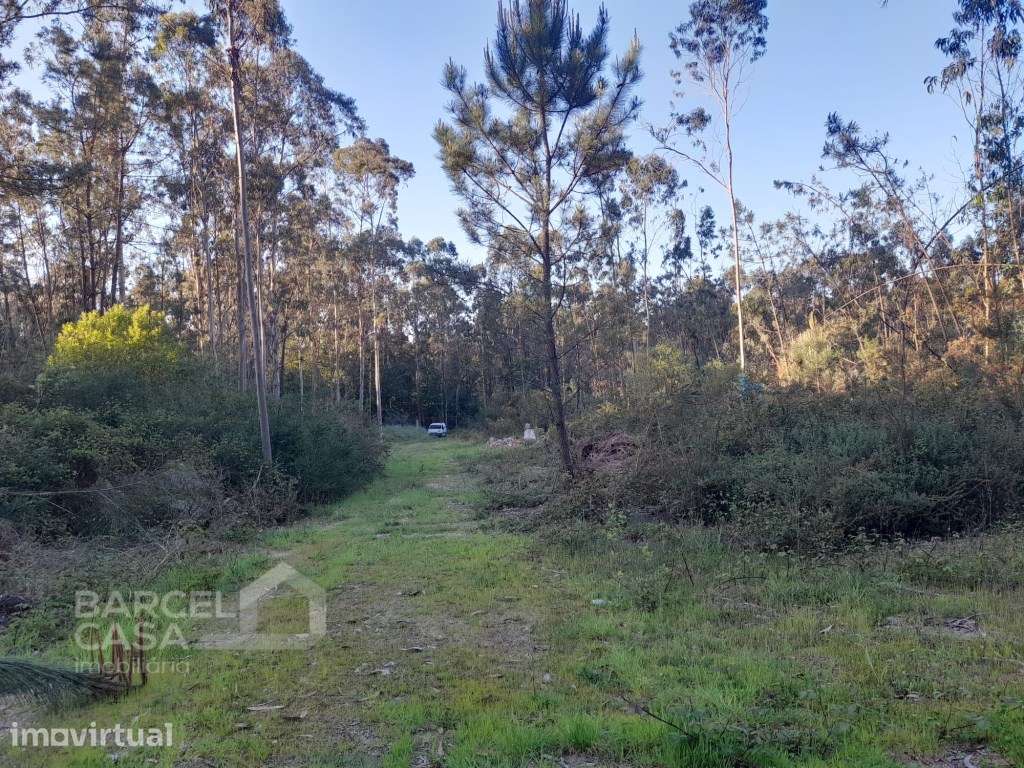 Terreno industrial em Vila Chã - Esposende - Grande imagem: 3/9