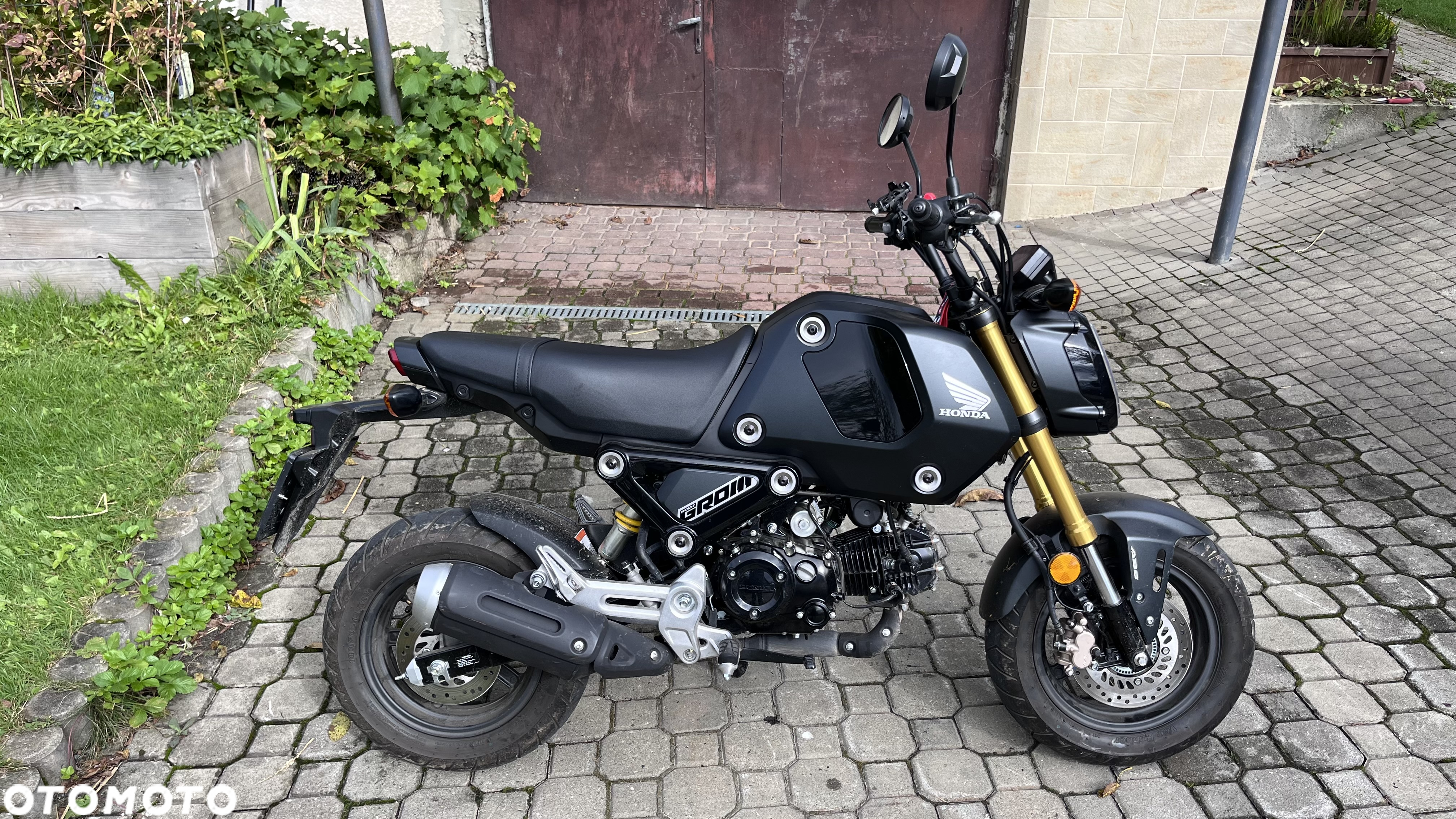 Honda MSX 125 - 3