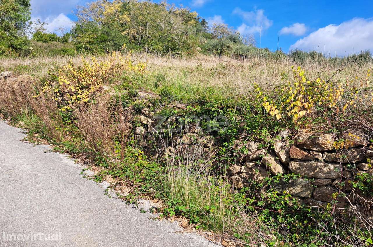 Terreno Urbanizável nas Alcanadas -Batalha - Grande imagem: 2/35