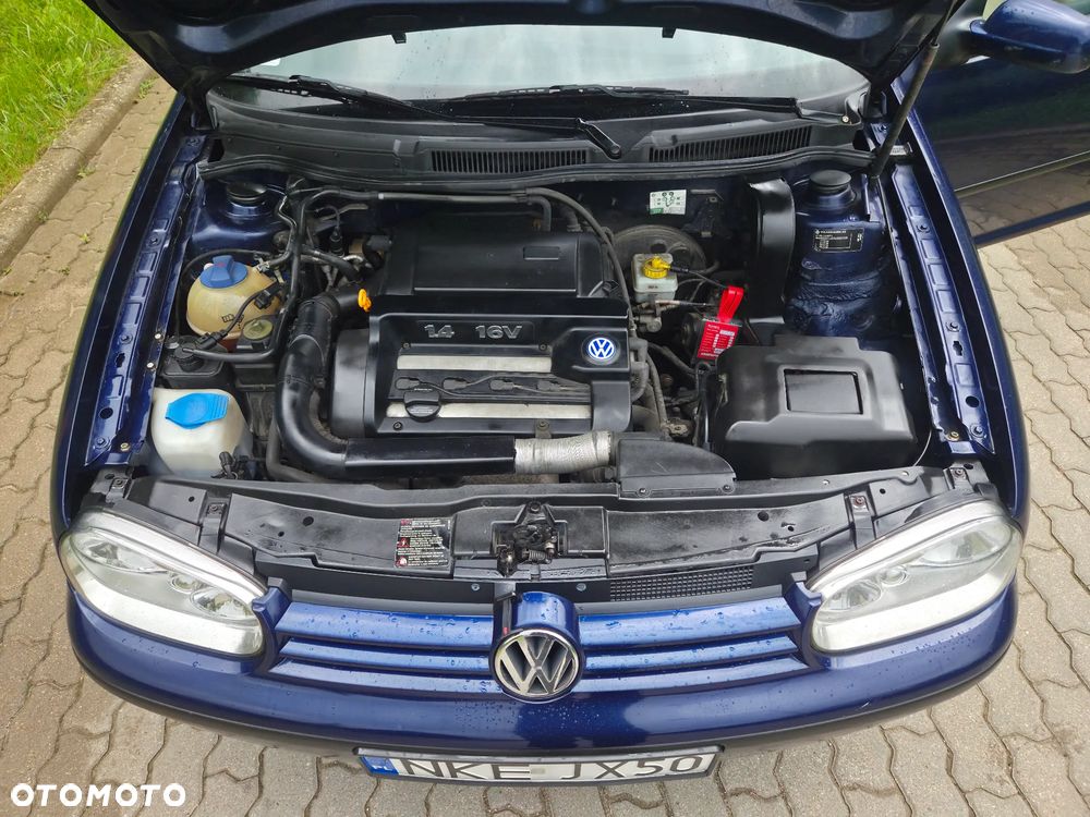 Volkswagen Golf - 28
