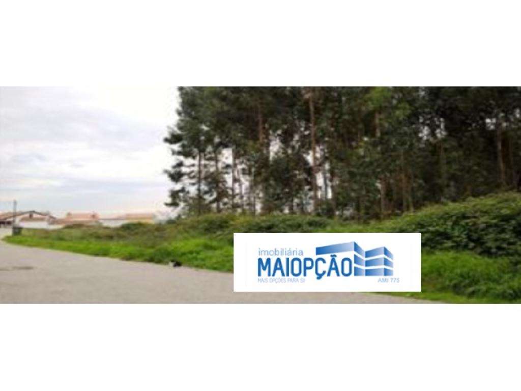 Terreno Urbano - Grande imagem: 4/5