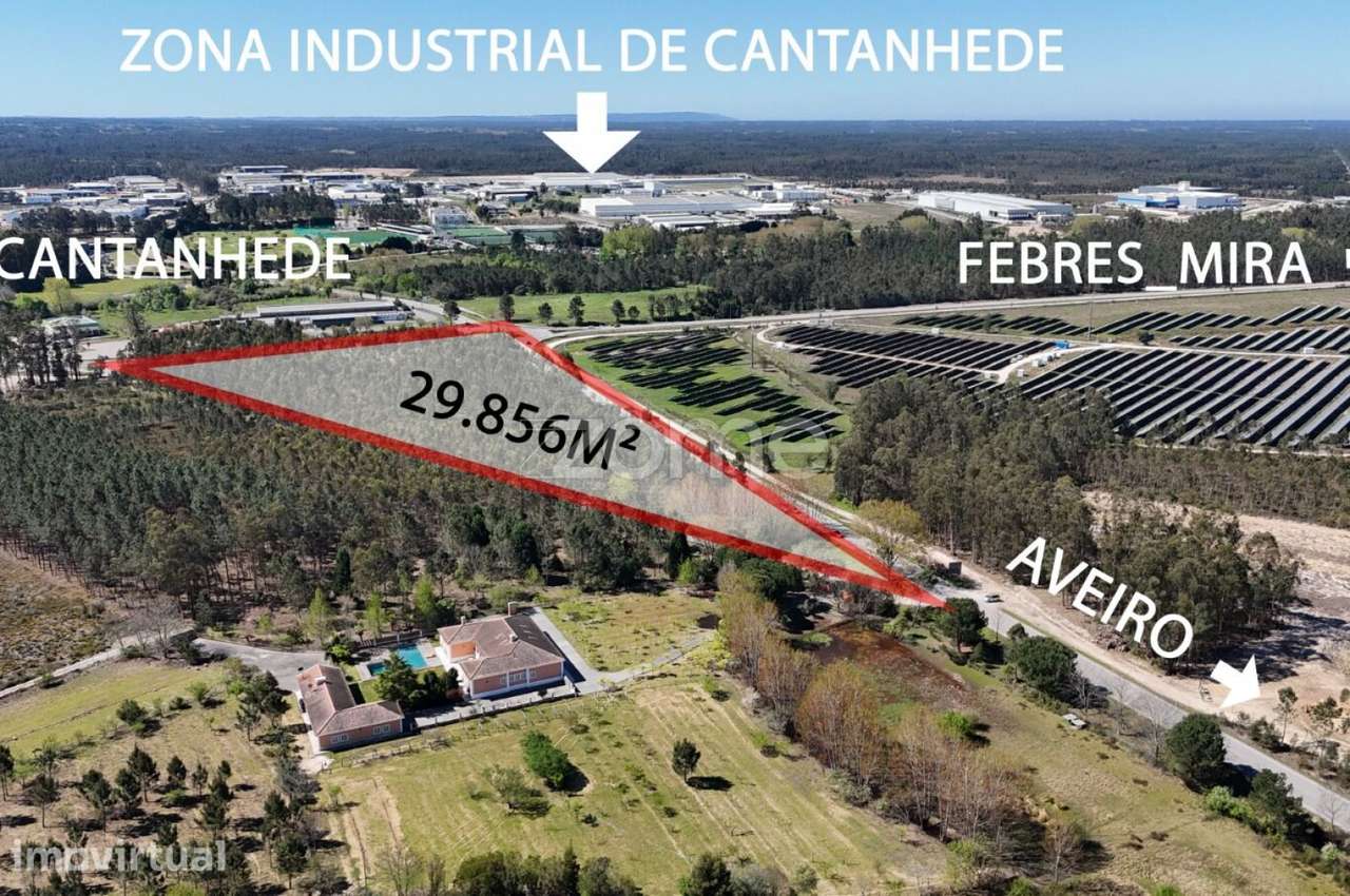 Oportunidade em Cantanhede: 3 Hectares de Potencial Ilimitado! - Grande imagem: 2/15