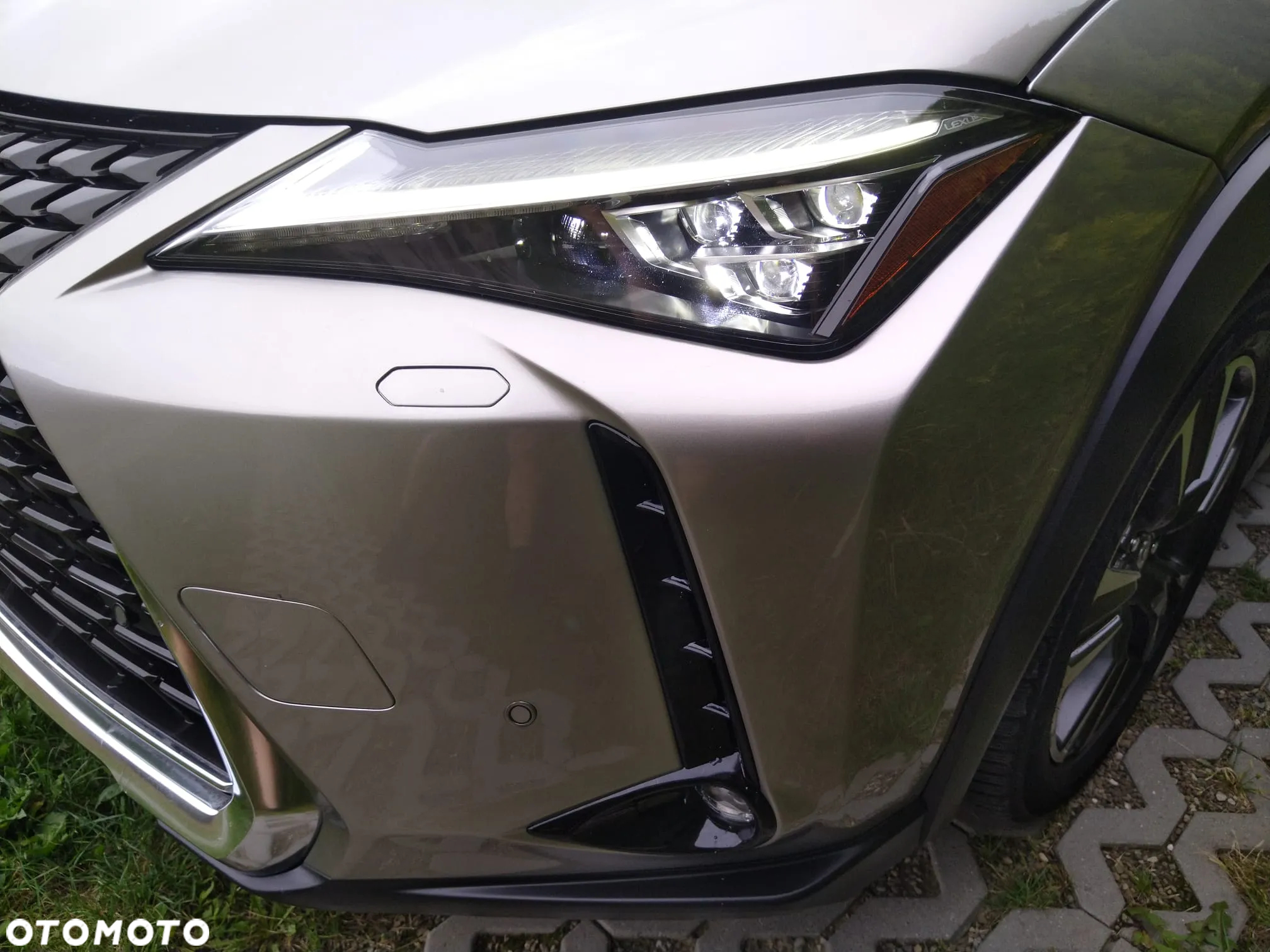 Lexus UX 250h GPF Business Edition AWD - 3