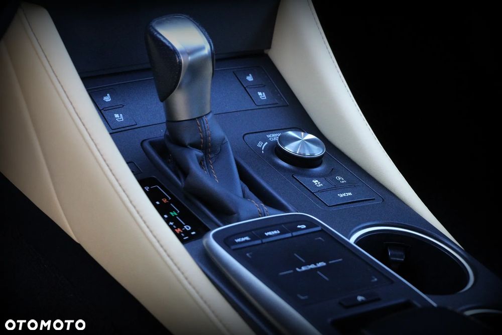 Lexus RC 200t / 300 F Sport - 23