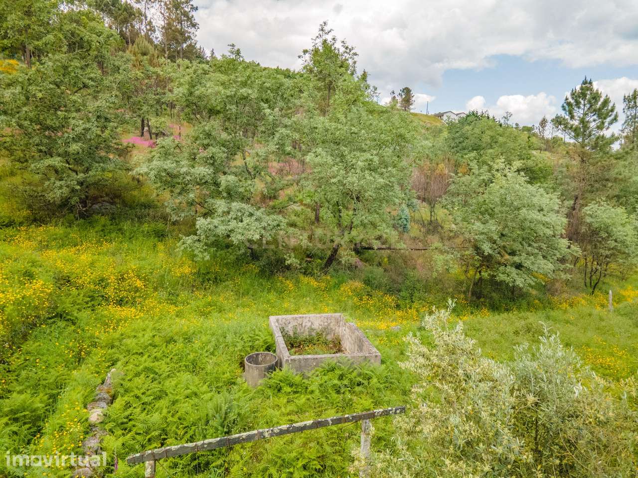 Terreno em Marco de Canaveses com Vista Campestre - Grande imagem: 5/11