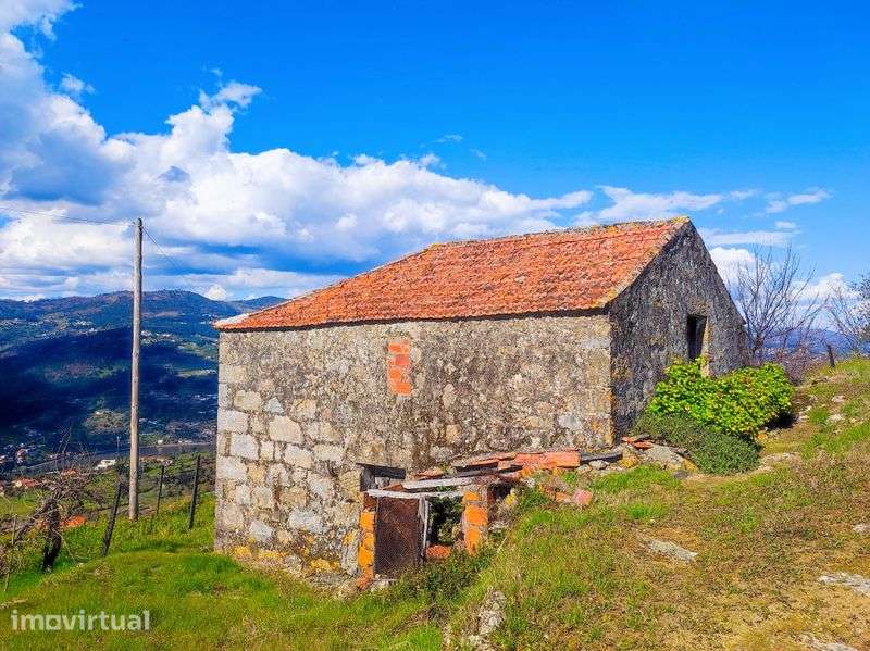 Quinta com terreno em Resende -  Rio Douro - Grande imagem: 3/12