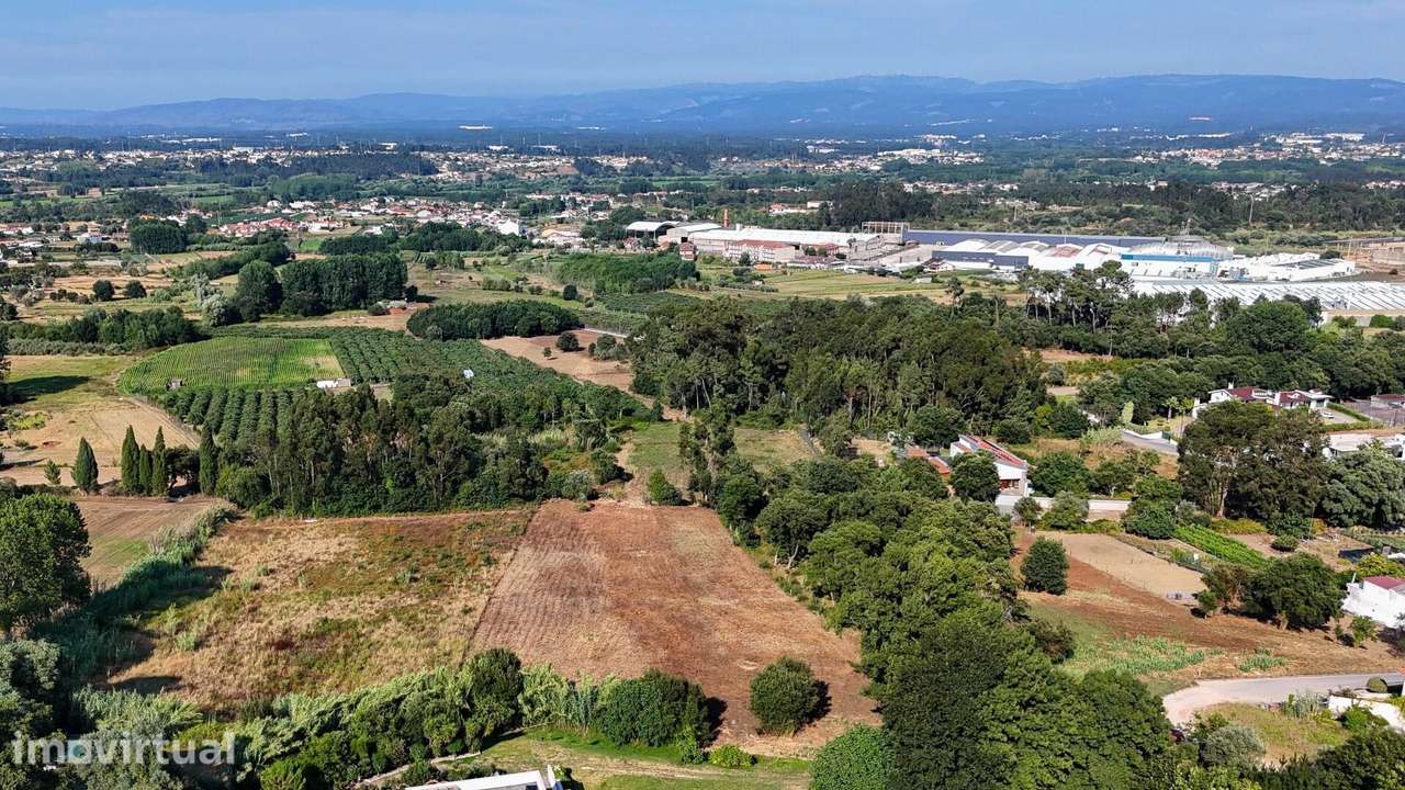 Terreno para Promoção Imobiliária no Coração de Oliveira do Bairro - Grande imagem: 3/10