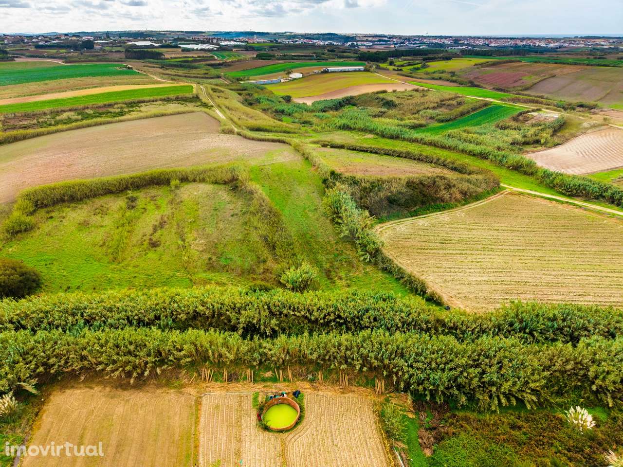 Terreno Rústico – Pombeira, Ferrel (Peniche) - Grande imagem: 4/13