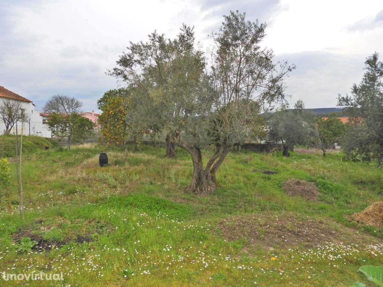 Terreno para Construção - Ulme - Grande imagem: 2/8