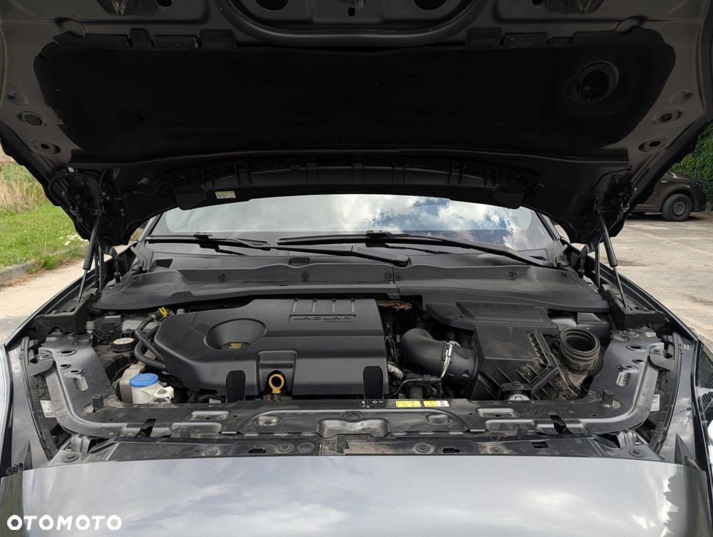Jaguar E-Pace D150 R-Dynamic S - 31