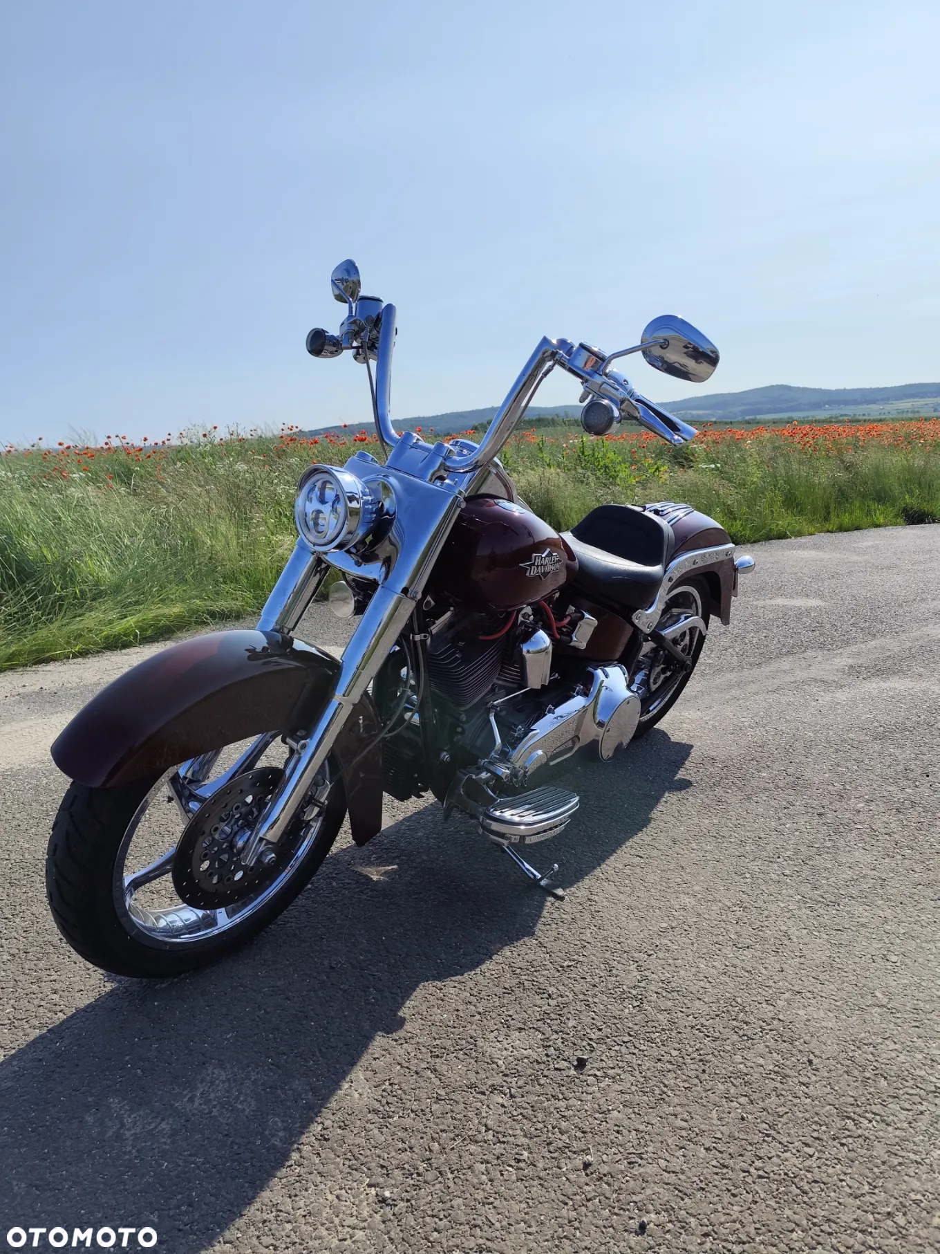 Harley-Davidson Softail - 4
