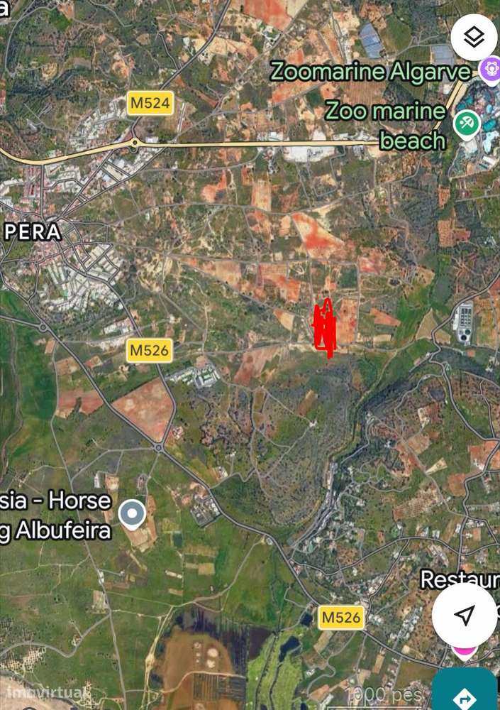 Terreno rústico com 19960m2 em Pêra / Silves a 500m da EN125 . - Grande imagem: 4/4