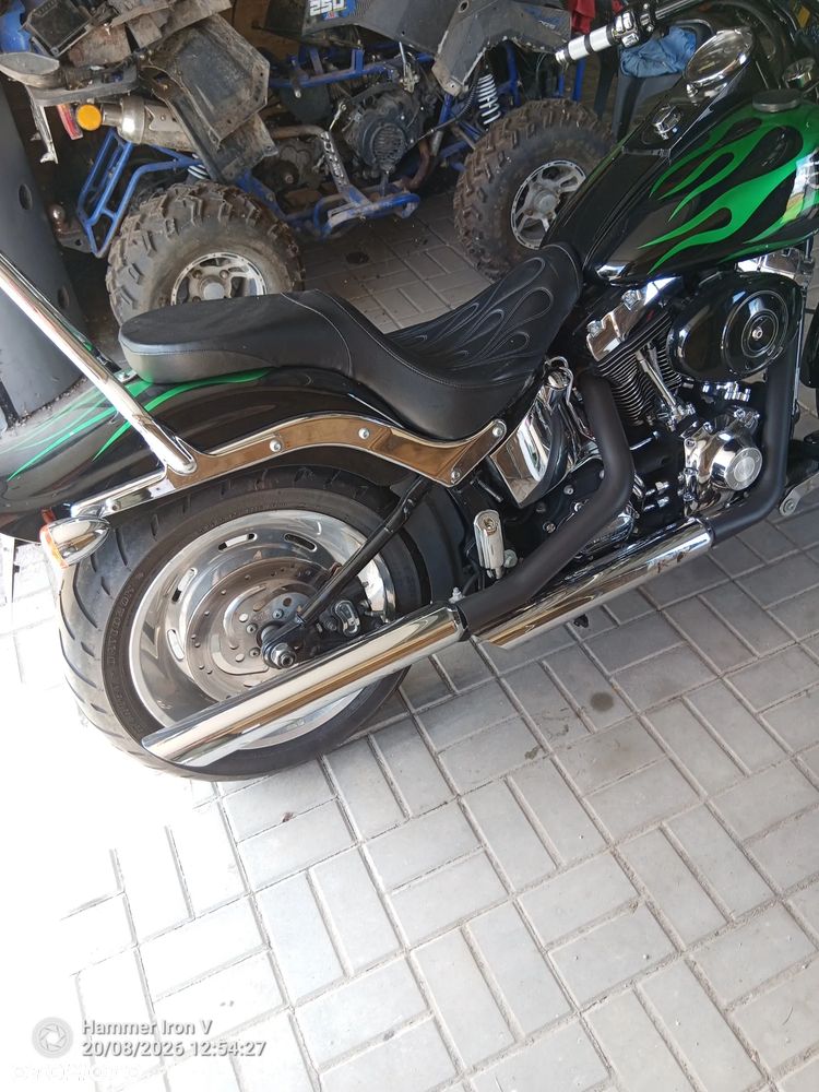 Harley-Davidson Softail Custom - 2