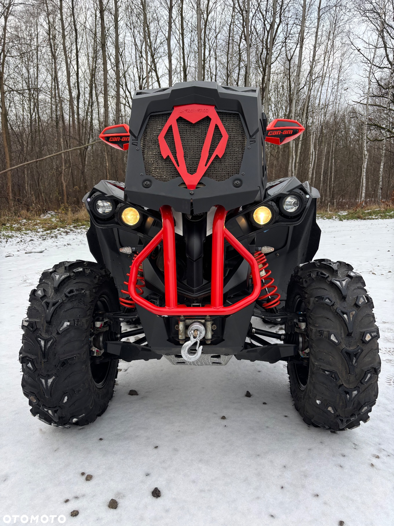 Can-Am Renegade