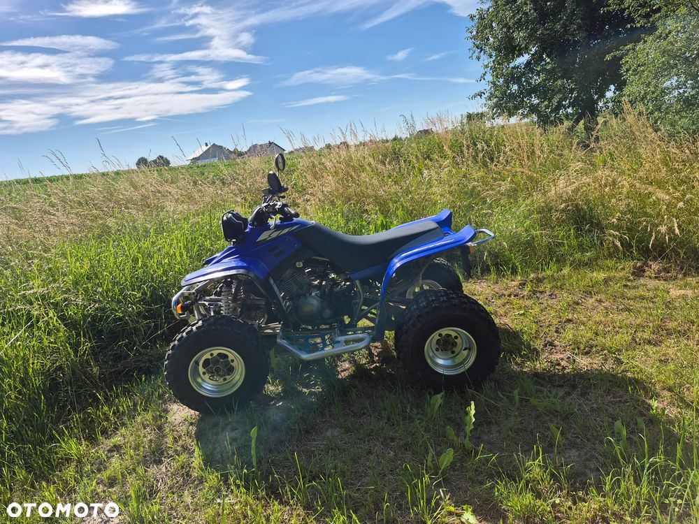 Yamaha Warrior - 5