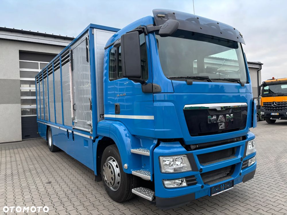 MAN TGS 18.320 2010 rok do przewozu zwierząt , do żywca, do bydła ,zabudowa FINKL z przegordami i wentylatorami , rampa hydrauliczna , z Niemiec - 4