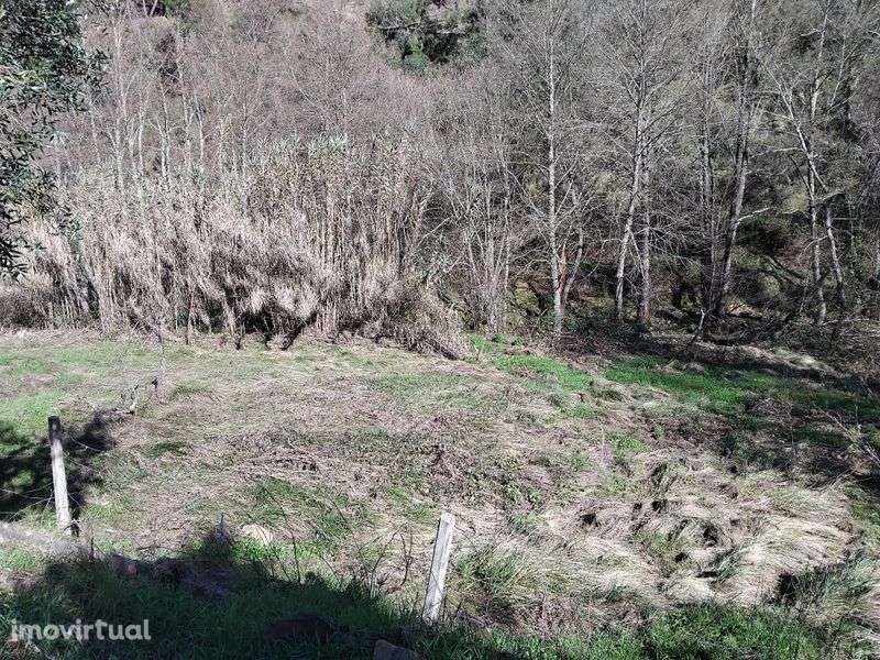 Terreno a beira da ribeira! - Grande imagem: 5/7
