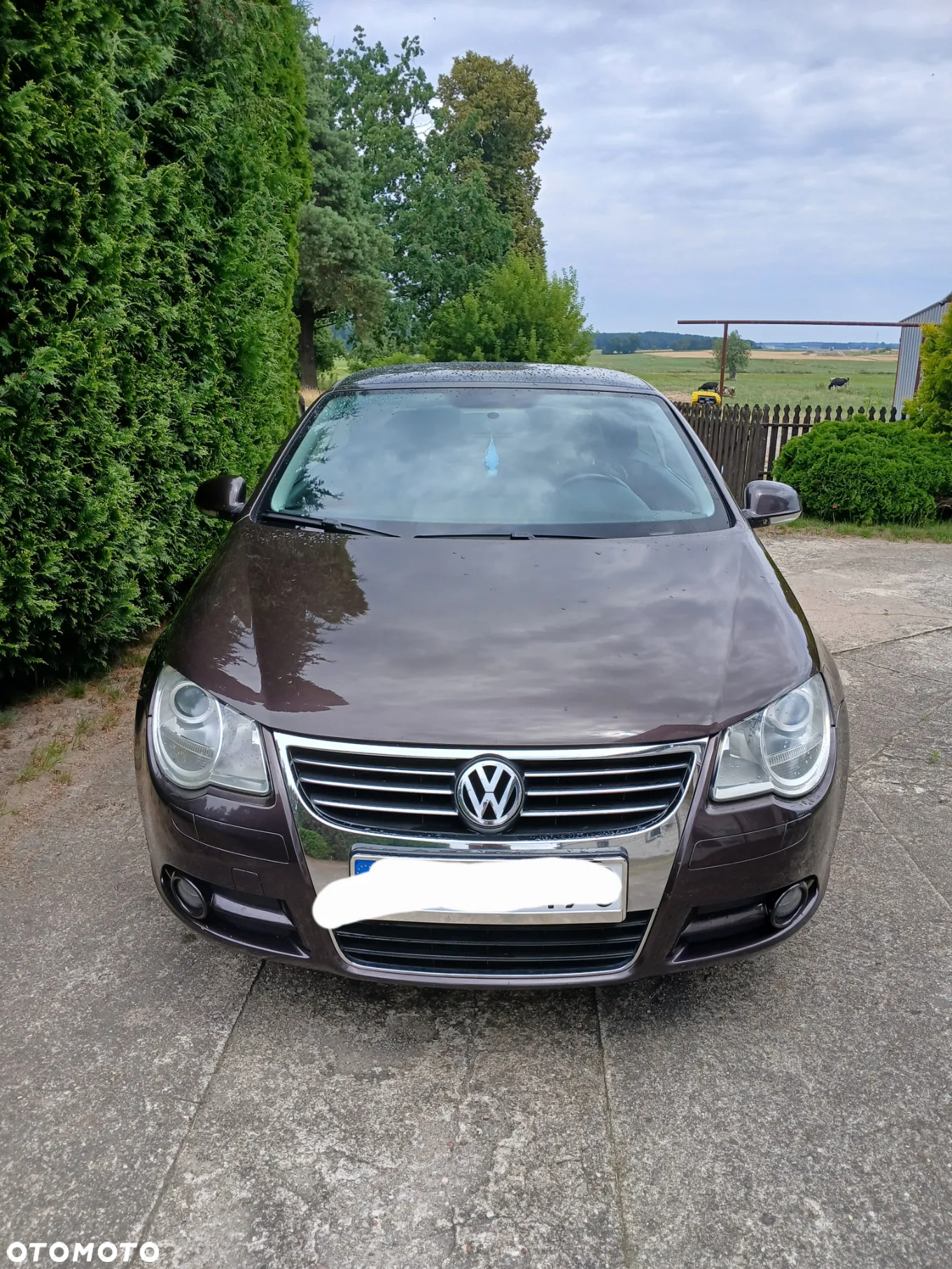 Volkswagen Eos 2.0 TDI DPF - 2