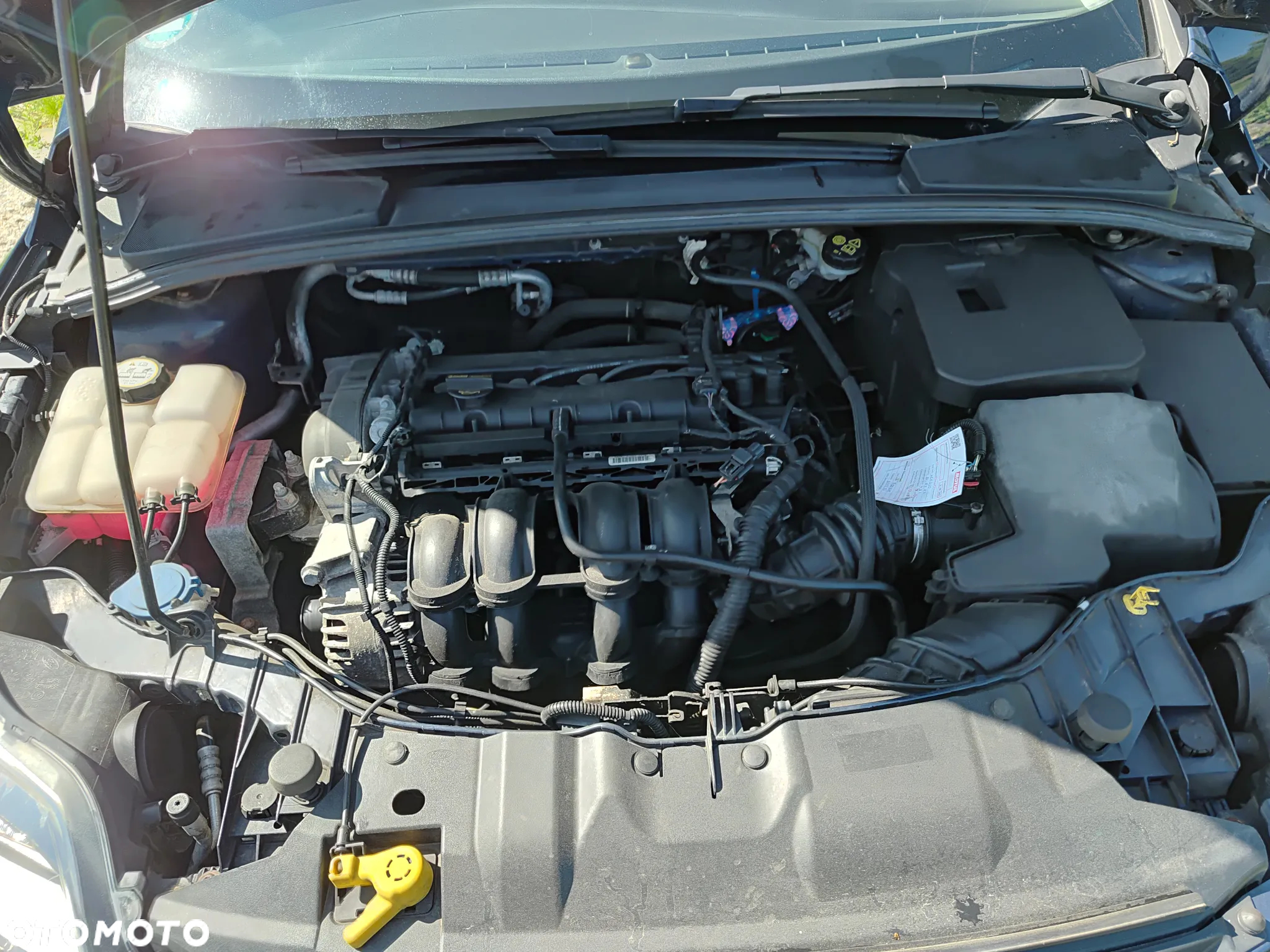 Ford Focus 1.6 Ambiente - 23