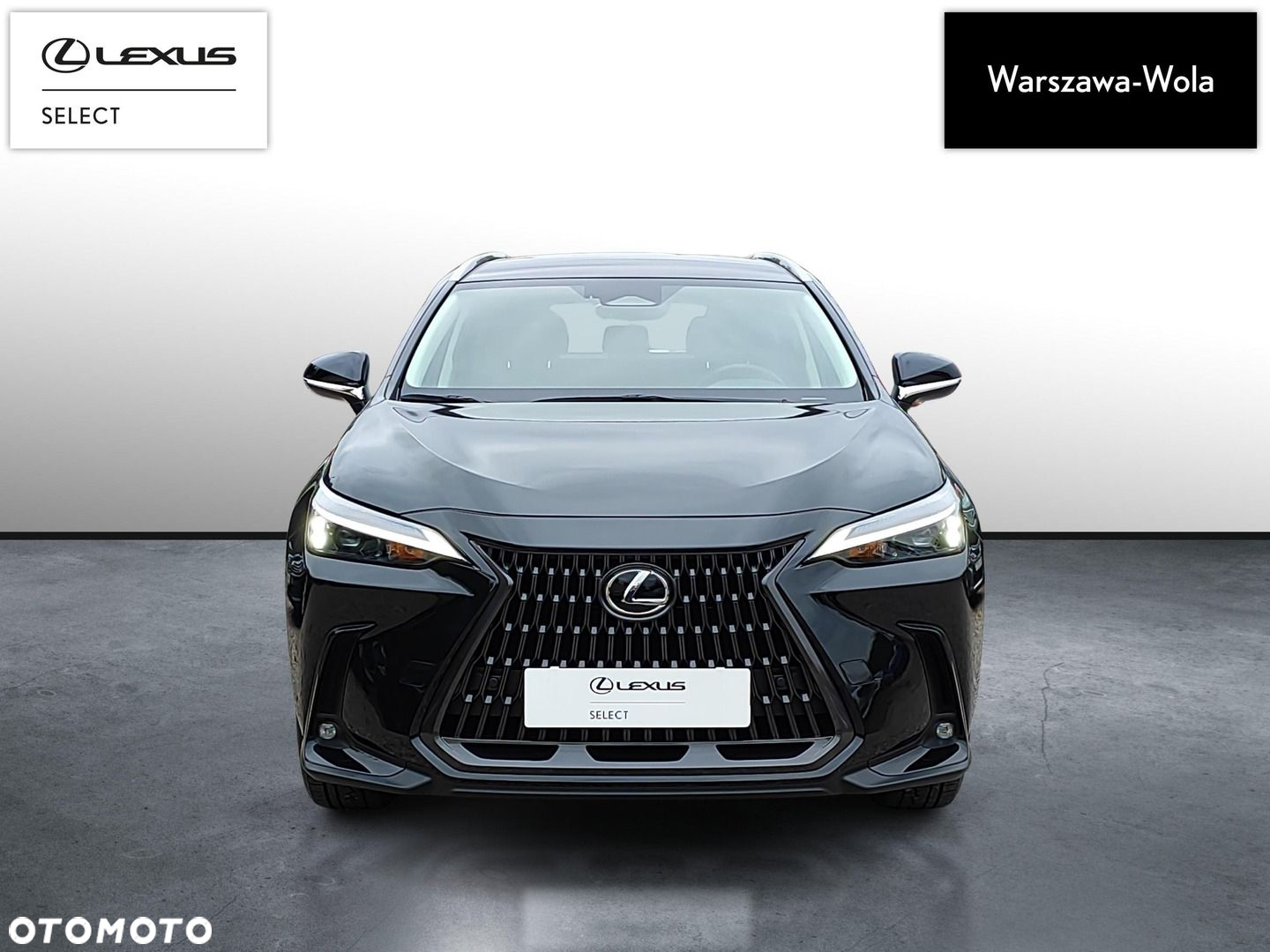 Lexus NX - 7
