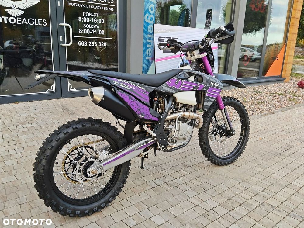 Diabolini Inny - 17