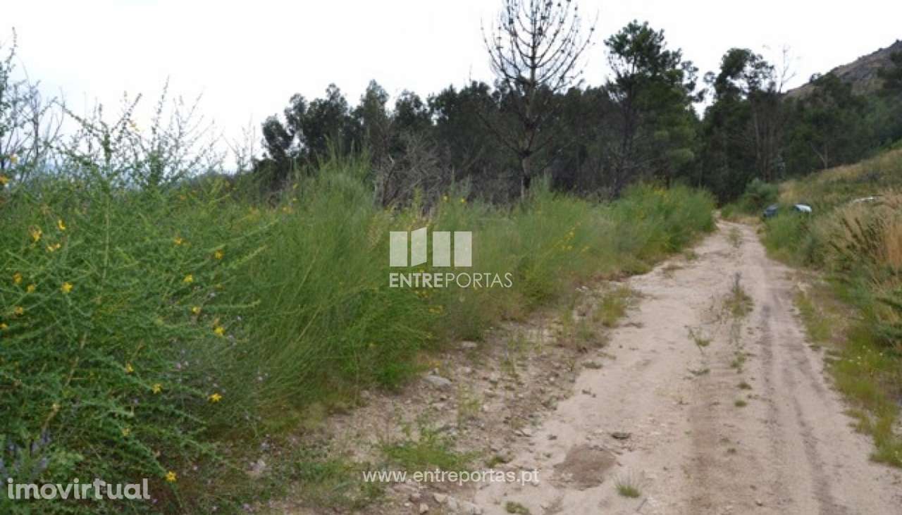 Venda Terreno, Sande, Marco de Canaveses - Grande imagem: 3/18