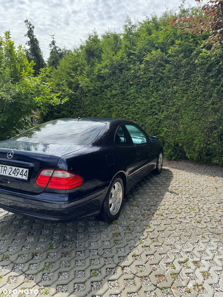 Mercedes-Benz CLK - 5