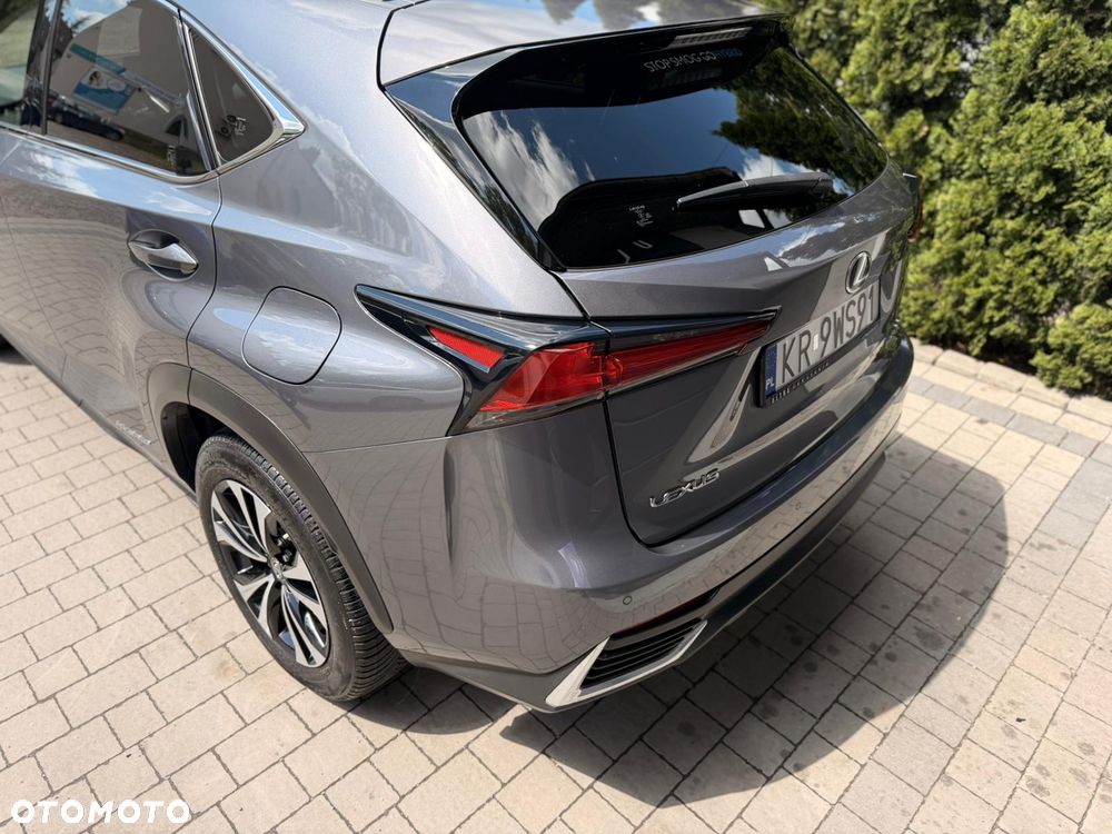 Lexus NX - 16