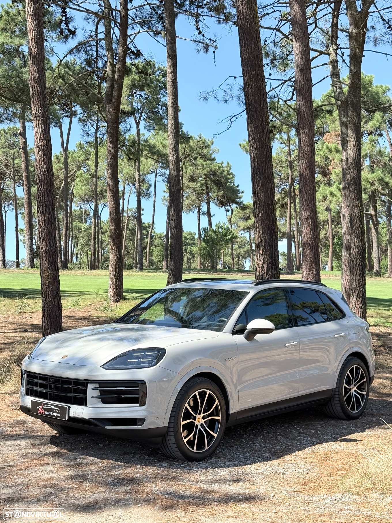 Porsche Cayenne E-Hybrid - 5