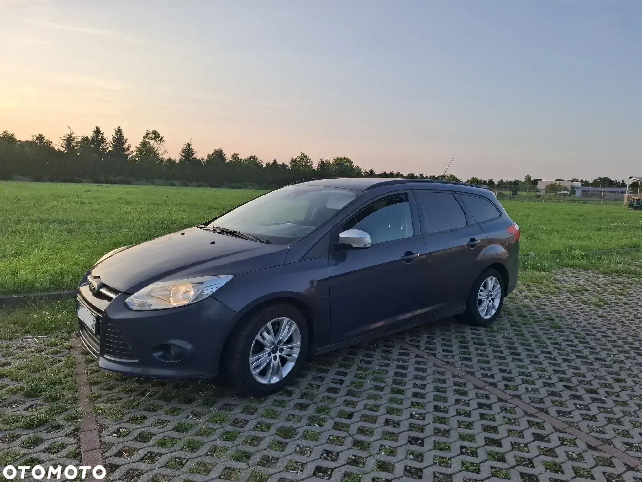 Ford Focus - 1