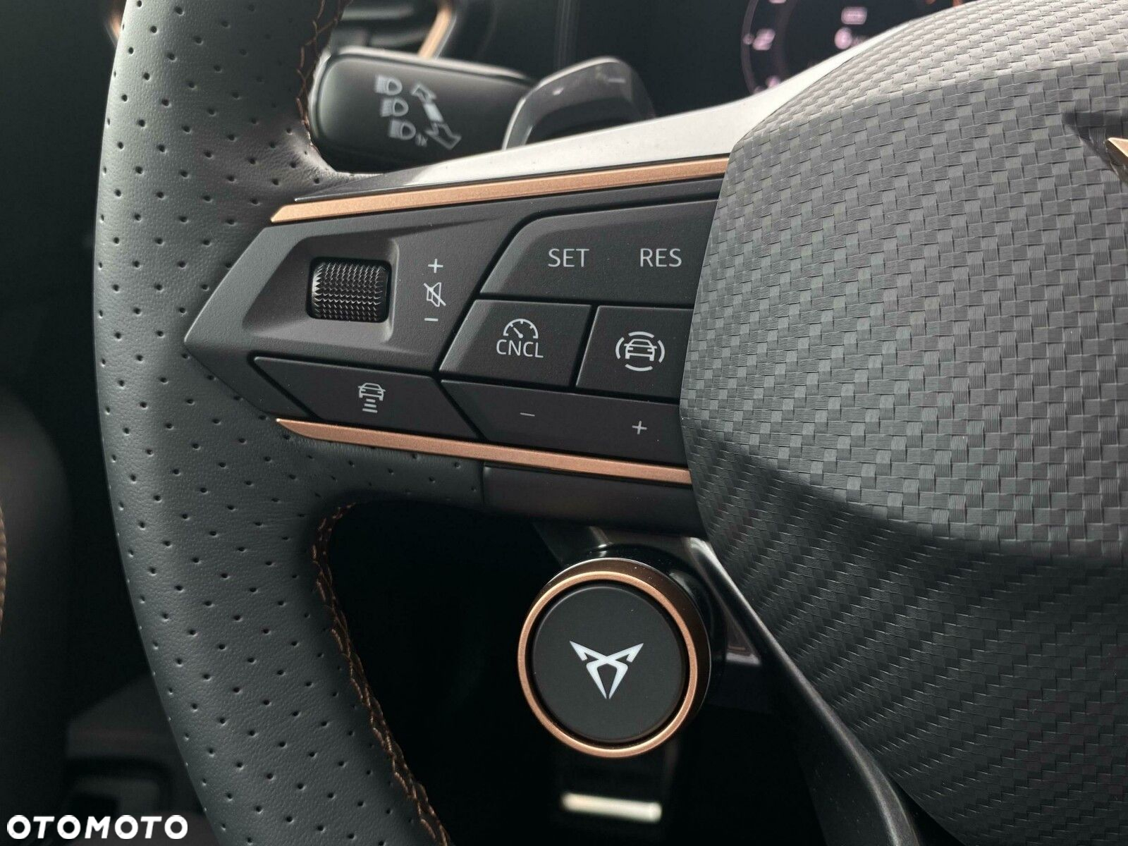 Cupra Formentor 2.0 TSI 4Drive VZ DSG - 14