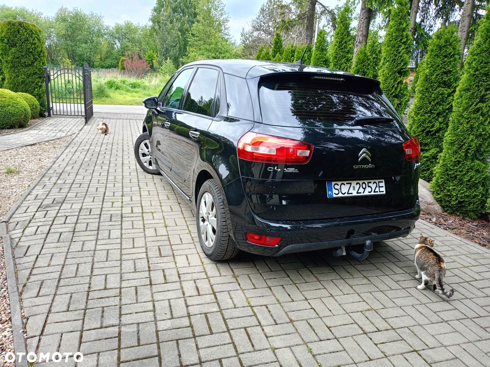 Citroën C4 Picasso e-HDi 115 Attraction - 10