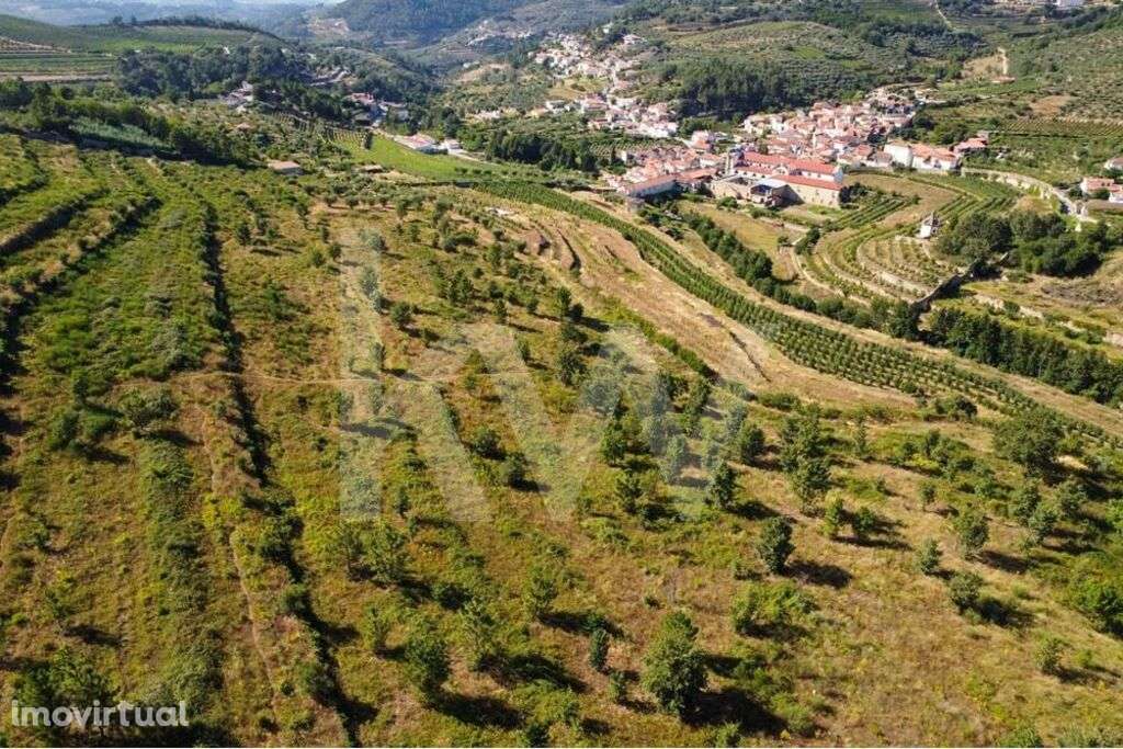 Quinta do Convento em Salzedas situada na Região do Távora-Varosa - Grande imagem: 3/43