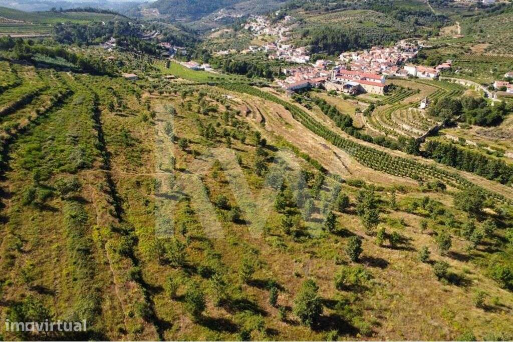 Quinta do Convento em Salzedas situada na Região do Távora-Varosa - Grande imagem: 3/43